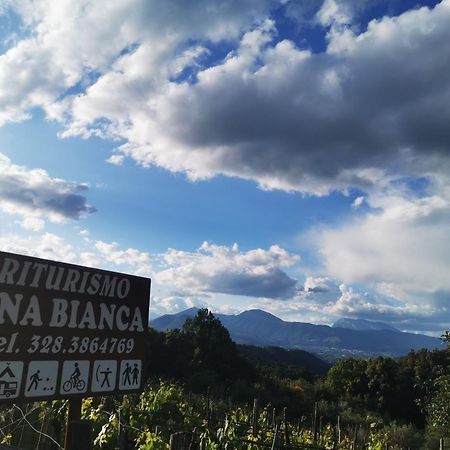 Agriturismo Donna Bianca Mormanno Dış mekan fotoğraf