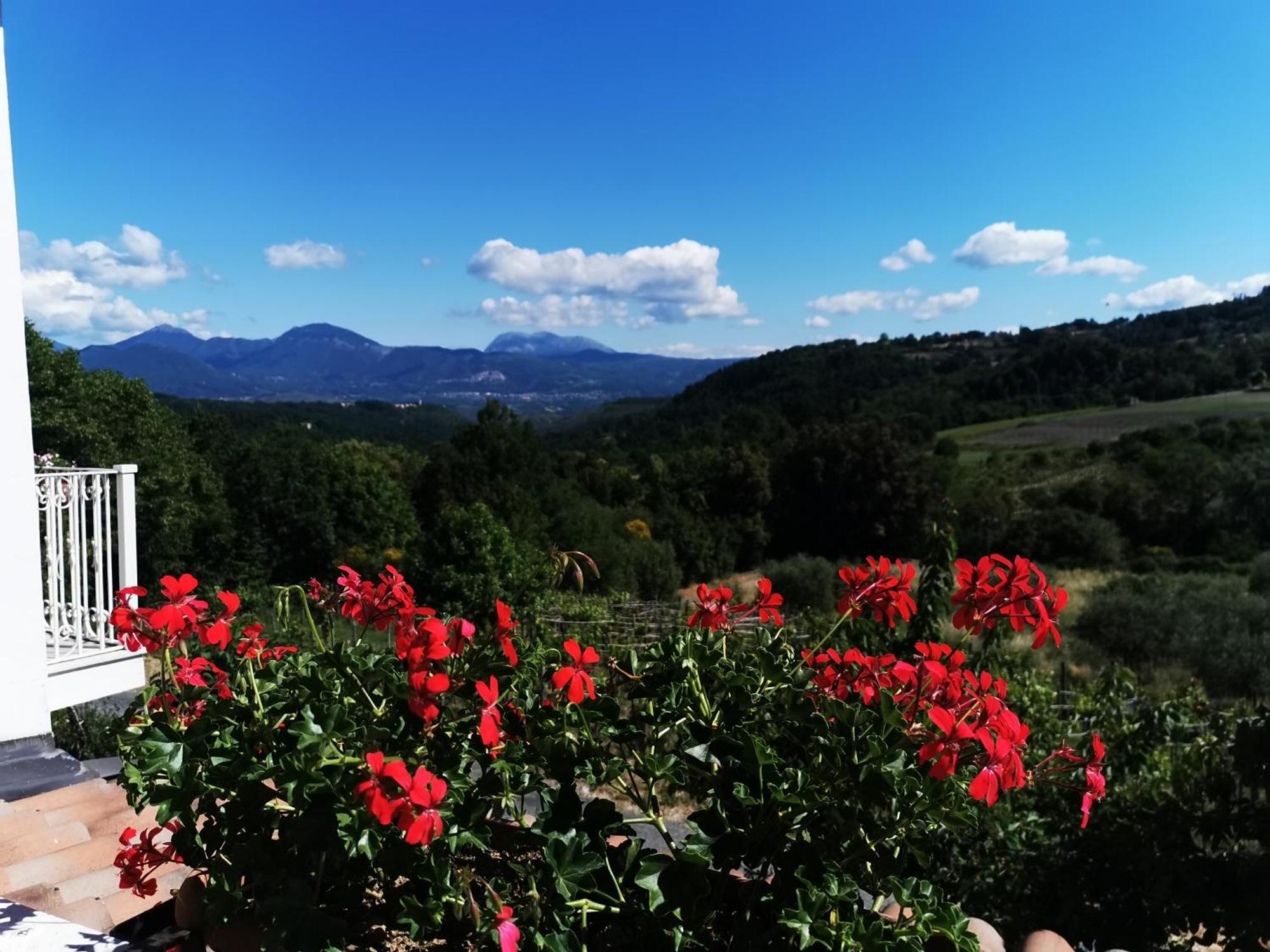 Agriturismo Donna Bianca Mormanno Dış mekan fotoğraf