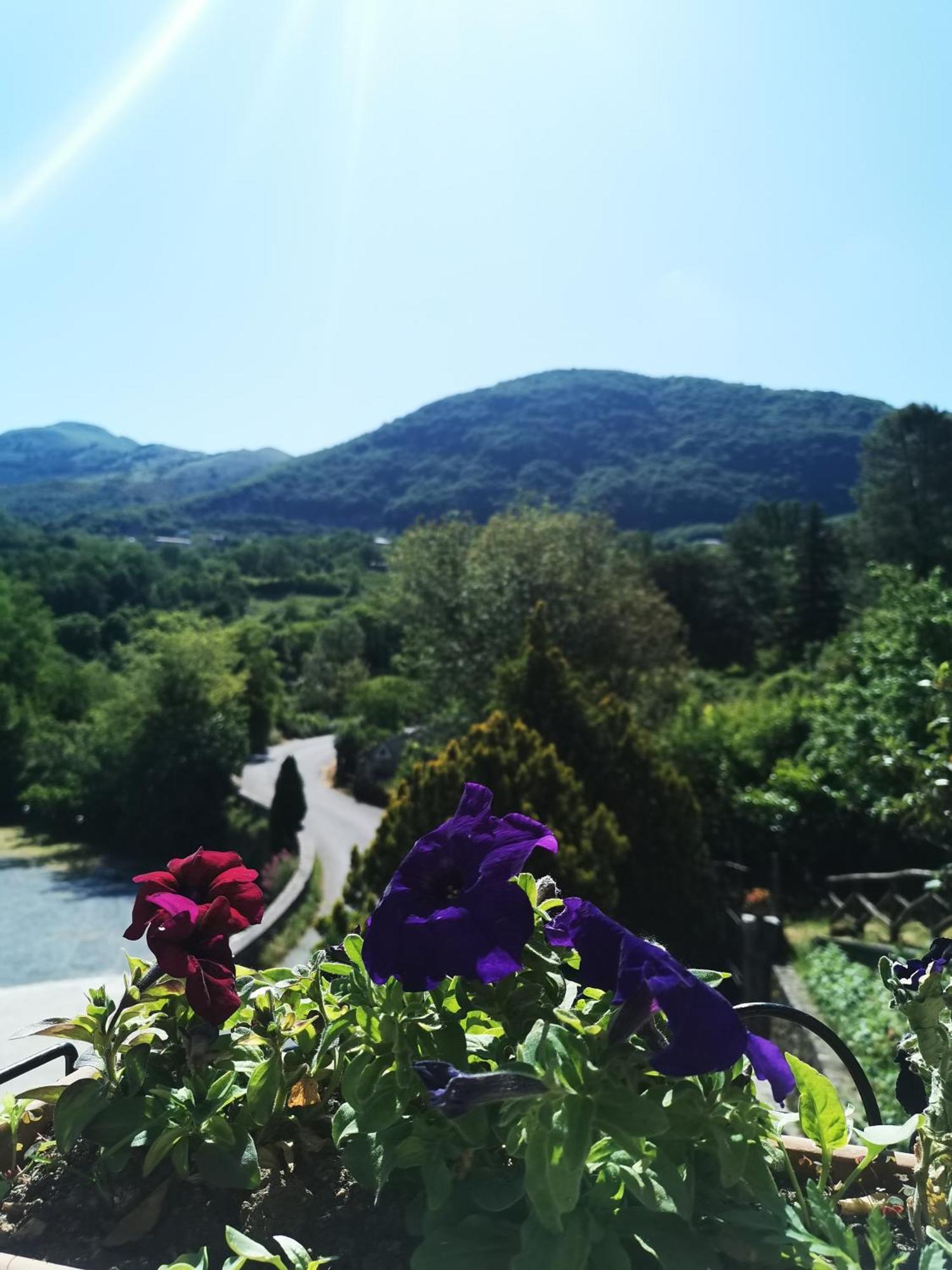 Agriturismo Donna Bianca Mormanno Dış mekan fotoğraf