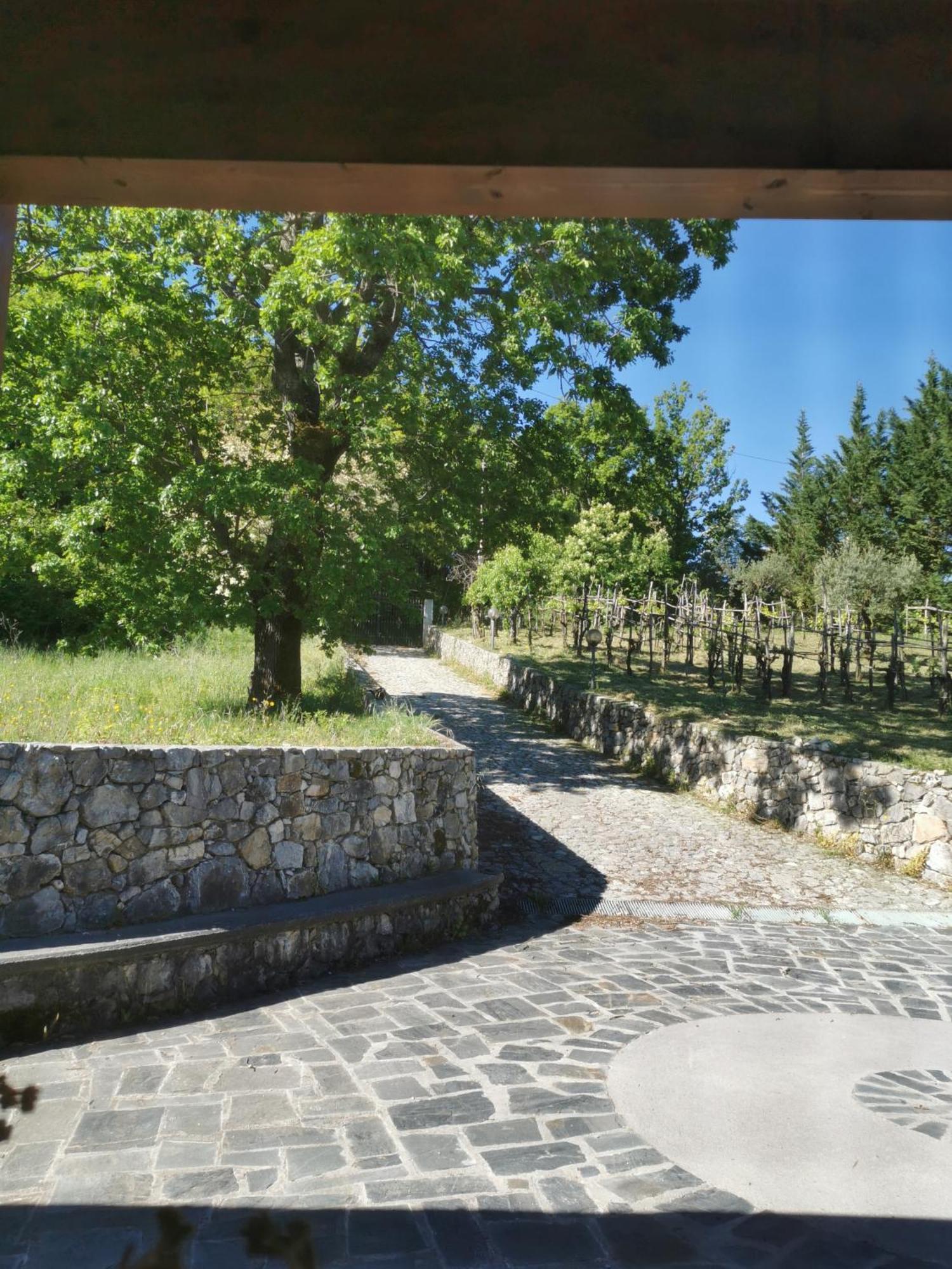 Agriturismo Donna Bianca Mormanno Dış mekan fotoğraf